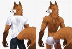  anthro bottomwear boxers_(clothing) canid canine clothing fox koul male mammal shirt shorts solo t-shirt topwear underwear 