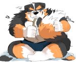  2020 anthro belly bernese_mountain_dog black_body black_fur blush brown_body brown_fur bulge canid canine canis clothing domestic_dog fur humanoid_hands hyaku_(artist) kemono male mammal molosser mountain_dog overweight overweight_anthro overweight_male scar sitting solo swiss_mountain_dog underwear white_body white_fur 