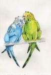  2020 ambiguous_gender avian beady_eyes bird black_body black_eyes black_feathers blue_body blue_feathers branch budgerigar duo eyes_closed feathered_wings feathers feral green_body green_feathers gryphon heather_bruton loriinae mythological_avian mythology parakeet parrot simple_background true_parrot white_background white_body white_feathers wings wood yellow_body yellow_feathers 