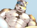  4:3 abs accessory anthro biceps blue_background body_hair brown_body brown_fur brown_nose canid canine canis chest_hair fugaku fur headband horkeukamui male mammal muscular muscular_anthro muscular_male navel nipples nude open_mouth pecs simple_background solo spread_legs spreading tokyo_afterschool_summoners video_games white_body white_fur wolf yellow_eyes 