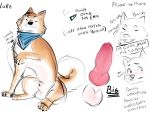  2020 4:3 anatomically_correct animal_genitalia animal_penis balls bastion blush canid canine canine_penis canis domestic_dog english_text erection feral genitals hi_res knot male mammal penis pink_penis sheath shiba_inu simple_background sitting sketch smile solo spitz text white_background 