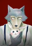  5_fingers absurd_res anthro beastars blue_body blue_fur blue_nose blush canid canine canis clothed clothing duo female fingers fur grey_body grey_fur haru_(beastars) hi_res lagomorph larger_anthro larger_male legoshi_(beastars) leporid likegoku looking_at_viewer male male/female mammal predator/prey rabbit red_background simple_background size_difference smaller_anthro smaller_female snout teenager white_body white_fur wolf young 