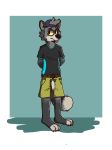  anthro ethan_forestfox genitals hi_res male male/male mammal nahte_forest penis presenting procyonid raccoon solo 