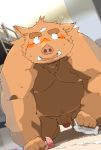  2020 anthro balls belly blush bodily_fluids brown_body brown_fur cum cum_on_ground fur genital_fluids genitals hi_res inside kemono kisukemk777 male mammal moobs overweight overweight_male penis solo suid suina sus_(pig) wild_boar 