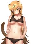  1girl absurdres animal_ear_fluff bangs bare_shoulders black_bra black_panties blonde_hair blush bra breasts brown_hair cheetah_(kemono_friends) cheetah_ears cheetah_tail collarbone cowboy_shot deku_suke extra_ears eyebrows_visible_through_hair frown gradient_hair hair_between_eyes hands_on_hips head_tilt highres kemono_friends large_breasts long_hair looking_at_viewer multicolored_hair navel panties simple_background solo sports_bra stomach tail underboob underwear underwear_only very_long_hair white_background yellow_eyes 