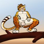  1:1 animal_genitalia anthro avioylin balls branch cheetah crouching felid feline genitals long_tail looking_at_viewer low-angle_view male mammal nipples nude sheath simple_background solo thick_thighs 