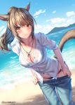  1girl animal_ears aruma_jiki bangs beach bikini black_bikini blue_pants blush breasts brown_hair cat_ears cat_tail cleavage collarbone day eyebrows_visible_through_hair facial_mark final_fantasy final_fantasy_xiv jewelry large_breasts long_hair looking_at_viewer miqo&#039;te necklace orange_eyes outdoors pants pants_pull ponytail shirt sidelocks smile solo swimsuit tail wet wet_clothes white_shirt 