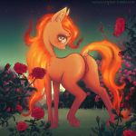  1:1 anus blush dock equid equine fan_character female feral fire flaming_hair flaming_mane flaming_tail flower fur garden genitals hasbro hi_res horse looking_at_viewer looking_back lunarlacepony mammal my_little_pony night outside plant pony pseudo_hair pseudo_mane pussy rose_(flower) solo yellow_body yellow_fur 