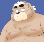  2020 anthro belly black_nose brown_body brown_fur fur kemono male mammal moobs nipples overweight overweight_anthro overweight_male portrait simple_background solo toshi_(artist) ursid 