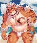  2020 absurd_res anthro beach belly blue_eyes blush bulge clothing episode0006 felid hi_res hombretigre humanoid_hands kemono male mammal moobs navel nipples outside overweight overweight_anthro overweight_male pantherine seaside solo swimwear tiger tokyo_afterschool_summoners video_games water 