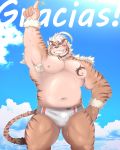  2020 4:5 anthro belly bulge clothing felid hi_res hombretigre humanoid_hands kemono male mammal moobs navel nipples overweight overweight_anthro overweight_male pantherine solo spanish_text swimwear take_tsugu_roh text tiger tokyo_afterschool_summoners video_games 