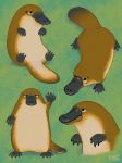  2020 ambiguous_gender beak black_eyes brown_body brown_fur feral fur green_background hi_res ka92 lying mammal monotreme multiple_poses on_back platypus pose quadruped simple_background solo standing 