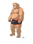  2020 anthro belly brown_body brown_fur bulge clothing fur hanakatsuo10 hi_res kemono male mammal moobs navel nipples overweight overweight_anthro overweight_male simple_background solo underwear ursid white_background 