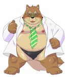  2020 anthro belly blush brown_body brown_fur bulge canid canine canis clothed clothing domestic_dog eyes_closed eyewear fur gantogan1216 glasses hi_res kemono male mammal moobs necktie nipples open_shirt overweight overweight_anthro overweight_male shirt simple_background solo topwear underwear white_background 