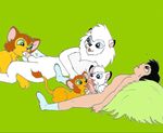  ceasar kimba kimba_the_white_lion kitty michael_sherman tagme 