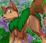  2020 brown_body brown_fur brown_nose butt canid canine countershading eyebrows featureless_crotch feral fox fur green_body green_eyes green_fur leafox looking_back low-angle_view male mammal photo_background plant quadruped raised_eyebrow rear_view redraw solo thorns tre_pinkney whiskers 