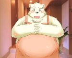  2011 anthro apron belly black_nose blush clothing humanoid_hands ibuki_haruno inside kemono male mammal overweight overweight_anthro overweight_male real solo ursid 