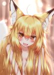  2020 ahoge animal_humanoid blonde_hair blush brown_body brown_fur canid canid_humanoid canine canine_humanoid convenient_censorship curtains cute_fangs day dipstick_ears dipstick_tail female flat_chested fluffy fluffy_tail fox_humanoid fur glistening glistening_hair hair half-closed_eyes half-length_portrait hi_res horokusa0519 humanoid inner_ear_fluff inside light long_hair looking_at_viewer mammal mammal_humanoid multicolored_ears multicolored_tail narrowed_eyes navel nude open_mouth portrait pupils slit_pupils solo tongue translucent translucent_hair tuft white_body white_fur yellow_body yellow_eyes yellow_fur 