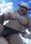  2boys abs bara beard bulge chest chest_hair cloud cloudy_sky facial_hair furry highres horns imminent_sex male_focus manly multiple_boys muscle oro9 pectorals purple_eyes purple_horns shennong_(tokyo_afterschool_summoners) sky solo_focus tokyo_houkago_summoners underwear_pull undressing upper_body white_hair 