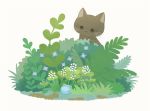  :3 ayu_(mog) blush cat flower frog grass mixed-language_commentary no_humans original purple_flower simple_background white_background 