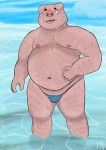  2020 anthro belly blush bulge clothing domestic_pig hairy hi_res kemono male mammal moobs navel nipples overweight overweight_anthro overweight_male partially_submerged pol6473 solo suid suina sus_(pig) swimwear water wet 