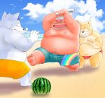  2020 anthro beach belly blush brown_body brown_fur bulge canid canine canis clothing domestic_dog domestic_pig fur group kemono male mammal moobs nipples outside overweight overweight_male seaside suid suina sus_(pig) swimwear toshi_(artist) water white_body white_fur 