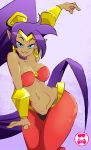  big_breasts blue_eyes breasts clothed clothing ear_piercing ear_ring female hair humanoid not_furry piercing purple_hair schpicy shantae shantae_(series) solo video_games wayforward wide_hips 