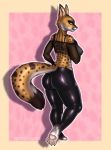  anthro breasts clothing felid feline female hi_res mammal rebrokota rubber solo translucent translucent_clothing 