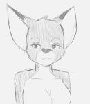  anthro canid canine eyebrows female fox fur mammal monochrome multicolored_body multicolored_fur parsnip_(game) portrait raised_eyebrows sketch smile smug_face solo tabithia_knight the_testimony_of_trixie_glimmer_smith three_lesbians_in_a_barrow 