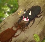  1girl animal animal_ear_fluff animal_ears animalization bangs beetle black_hair blurry blurry_background blush bug depth_of_field eyebrows_visible_through_hair fox_ears highres insect kemomimi-chan_(naga_u) naga_u original red_eyes rhinoceros_beetle solo stag_beetle tree_branch v-shaped_eyebrows 