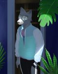  absurd_res animal_humanoid anthro canid canid_humanoid canine canis clothed clothing eyewear fur glasses grey_body hi_res humanoid looking_at_viewer male mammal mammal_humanoid plant silbad simple_background solo standing wolf 