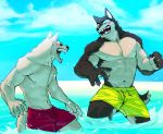  2020 anthro beach bottomwear canid canine canis clothed clothing domestic_dog fur group male mammal muscular muscular_anthro muscular_male nomifuki outside seaside simple_background smile swimwear white_body white_fur 