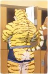  2020 anthro barazoku brown_body brown_fur butt clothing detailed_background felid fur hi_res inside kemono male mammal nico26b pantherine solo_focus tiger underwear white_body white_fur yellow_body yellow_fur 