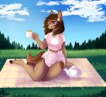  accessory anthro bedding beverage blanket canid canine canis clothing cloud collar diaper female grass hair_accessory hairpin heterochromia mammal outside sitting sky smile solo strawberryneko tea tree tusks watermark wolf 