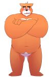  anthro belly black_nose blush canid canine canis domestic_dog fur hi_res leonthelionel male mammal navel orange_body orange_fur overweight overweight_anthro overweight_male rorik_(the_human_heart) simple_background solo the_human_heart_(game) video_games visual_novel white_background 