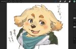  1boy animal_ears art_program_in_frame art_program_request blush colored_tips cu_sith_(housamo) dog_boy dog_ears dog_nose fang floppy_ears furry furry_male green_jacket green_scarf highres jacket looking_at_viewer multicolored_hair open_mouth scarf smile tokyo_afterschool_summoners translation_request upper_body wieneko yellow_fur 