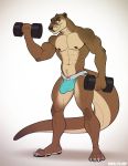  2020 abs anthro bicep_curl biceps bulge clothing dumbbell erection erection_under_clothing exercise jockstrap kihu looking_at_viewer lutrine male mammal muscular muscular_anthro muscular_male mustelid navel nipples pecs simple_background smile solo standing underwear weightlifting weights white_background workout 