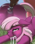  2020 4:5 absurd_res anal anal_penetration animal_genitalia animal_pussy bodily_fluids butt cheerilee_(mlp) clitoris cum cum_through cum_vomit cutie_mark duo earth_pony equid equine equine_pussy eyebrows female female_penetrated feral friendship_is_magic genital_fluids genitals grass hasbro hi_res horse male male/female male_penetrating male_penetrating_female mammal mricantdraw my_little_pony one_eye_closed penetration penis pony pussy sex solo_focus 