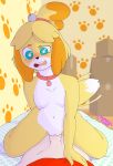  2019 accessory ahegao animal_crossing anthro anthro_penetrated bed blush bottomless breasts canid canine canis cardboard_box clothed clothing collar collar_only countershading cowgirl_position digital_media_(artwork) dipstick_tail domestic_dog duo featureless_breasts female female_focus female_on_top female_penetrated first_person_view fur furniture genitals hi_res human human_on_anthro human_penetrating human_penetrating_anthro inside interspecies isabelle_(animal_crossing) looking_pleasured male male/female male_on_bottom male_penetrating male_penetrating_female male_pov mammal multicolored_tail nintendo nude on_bed on_bottom on_top open_mouth penetration penis pussy sex shih_tzu surrealtone tailwag toy_dog vaginal vaginal_penetration video_games villager_(animal_crossing) white_countershading yellow_body yellow_fur 
