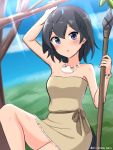  1girl :o absurdres alternate_costume arm_up bangs bare_shoulders beige_dress black_hair blue_eyes dress eyebrows_visible_through_hair greater_lophorina_(kemono_friends) hair_between_eyes head_wings highres kemono_friends looking_at_viewer polearm sash shell_necklace shiraha_maru short_hair sitting solo spear strapless strapless_dress tail tree twitter_username weapon 
