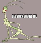  antennae_(anatomy) anthro arthropod breasts female glacierclear grey_background hi_res insect kneeling mandibles meme multi_arm multi_limb non-mammal_breasts nude phasmid red_sclera simple_background skinny solo 