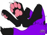  4:3 anthro black_paws canid canine canis claws domestic_dog elkhound foot_fetish foot_focus fur lying male mammal on_back pawalo pawpads paws pink_pawpads purple_body purple_fur solo spitz the_cosmic_corgi 