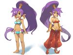  2girls :d arms_at_sides barefoot bikini blue_bikini bracer breasts closed_mouth dual_persona earrings green_eyes harem_pants high_ponytail highres hoop_earrings jewelry long_hair looking_at_viewer medium_breasts multiple_girls navel open_mouth pants pointy_ears pointy_footwear purple_hair red_footwear red_pants shantae:_half-genie_hero shantae_(character) shantae_(series) shoes smile standing swimsuit upper_teeth very_long_hair vins-mousseux white_background 