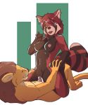  ailurid anthro anthromage bodily_fluids cowgirl_position cum cum_in_pussy cum_inside cuming duo felid female genital_fluids hi_res lion male male/female mammal on_bottom on_top pantherine red_panda sex 
