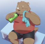  2020 anthro belly bottomwear brown_body brown_fur bulge clothing fur humanoid_hands kemono male mammal overweight overweight_anthro overweight_male penta002 shirt shorts sitting solo tank_top topwear ursid 