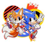  2_tails alpha_channel anthro blue_body canid canine clothing duo eulipotyphlan footwear fox fur gloves handwear hedgehog hi_res male mammal miles_prower multi_tail orange_body orange_fur shoes smile snappygrey sonic_the_hedgehog sonic_the_hedgehog_(series) 