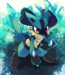  2020 biped black_body blue_body blue_fur canid chest_spike chest_tuft crystal detailed_background digital_media_(artwork) elemental_manipulation fur fur_tuft ice ice_manipulation kneeling looking_down lucario mammal nintendo pok&eacute;mon pok&eacute;mon_(species) red_eyes semi-anthro solo spikes spikes_(anatomy) summoning tan_body tan_fur tuft video_games zoroa553 