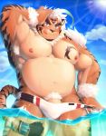  2020 anthro armpit_hair belly blue_eyes body_hair bulge clothing delta3814 felid genitals hi_res hombretigre humanoid_hands kemono male mammal moobs nipples outside overweight overweight_anthro overweight_male pantherine penis pubes solo swimwear tiger tokyo_afterschool_summoners tongue tongue_out video_games water 