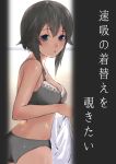  1girl black_hair bra breasts cleavage commentary_request cowboy_shot grey_bra grey_panties hayasui_(kantai_collection) highres kantai_collection looking_at_viewer medium_breasts panties sakieko short_hair silver_eyes solo translation_request underwear underwear_only 