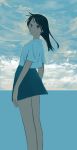  1girl absurdres arms_at_sides black_hair blue_skirt blue_theme brown_eyes closed_mouth cloud commentary_request highres horizon long_hair looking_at_viewer ocean original shirt short_sleeves skirt solo standing turquoise_iro white_shirt 